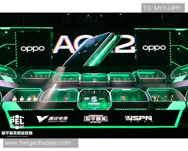 和平精英深度解析RNG战队运营策略与成功之道